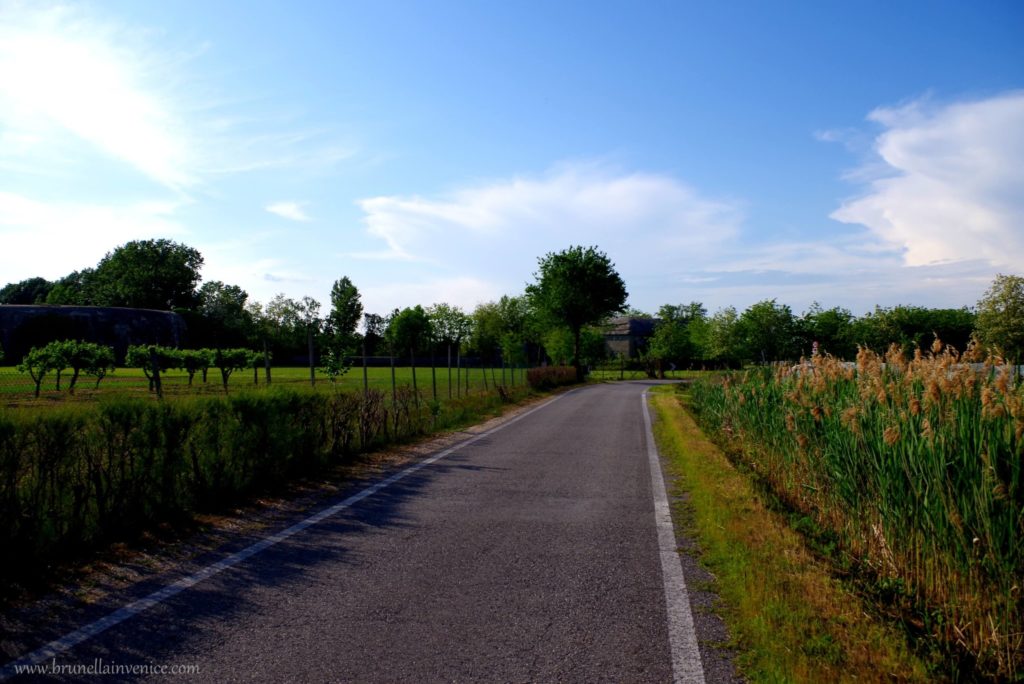 passeggiata cavallino treporti (2)