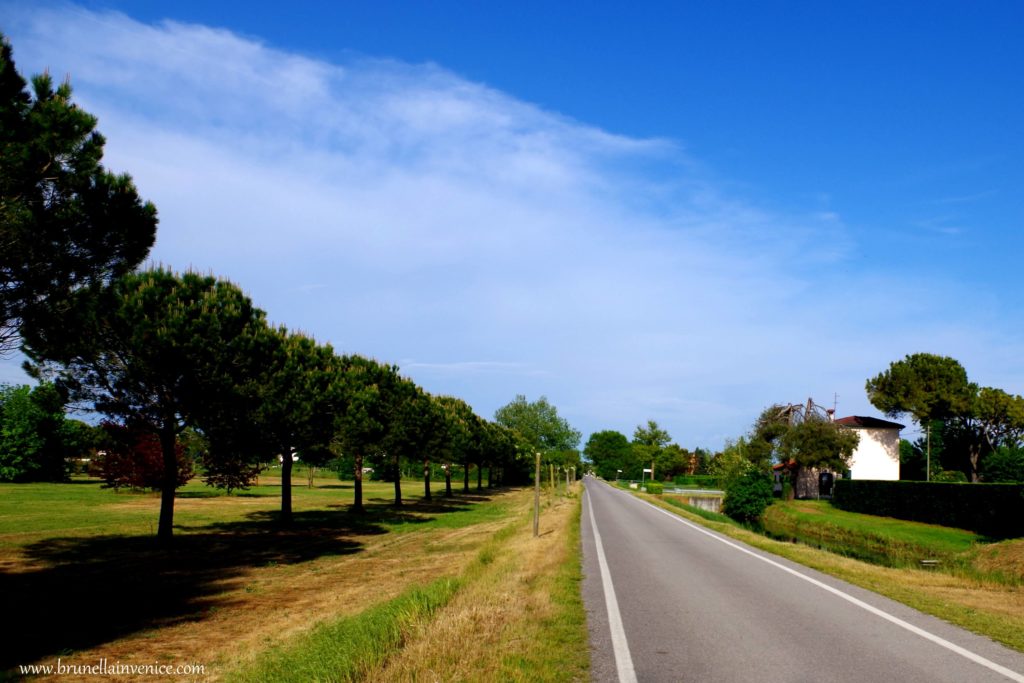 passeggiata cavallino treporti (3)