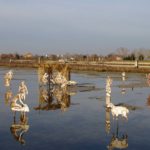 presepe sull'acqua a cavallino treporti