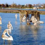 presepe sull'acqua a cavallino treporti