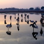 presepe sull'acqua a cavallino treporti