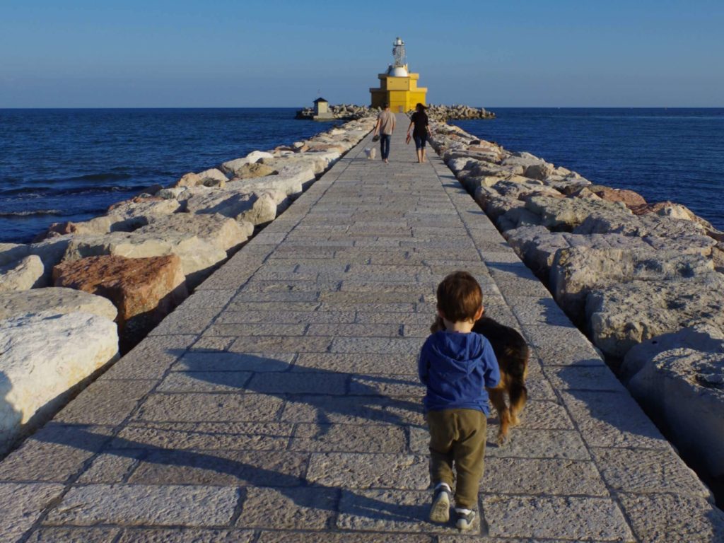 passeggiata con il cane