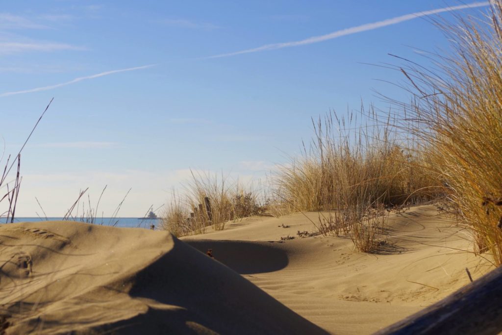 spiaggia cavallino treporti gennaio 2017 inverno